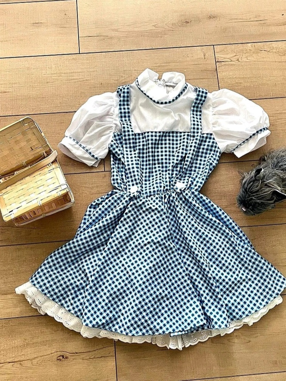 Wizard of Oz Dorothy Costume Dress Kids Blue & White Gingham Halloween Costume 1